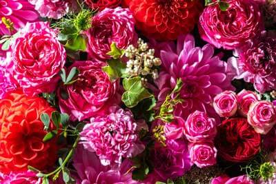 プロフィール背景画像